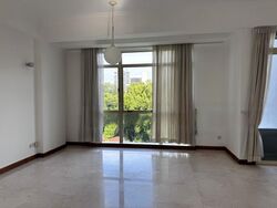 Balmoral 8 (D10), Condominium #459534491